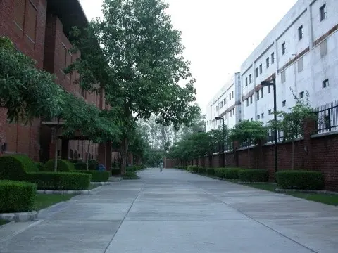 Jaypee Institute of Information Technology campus